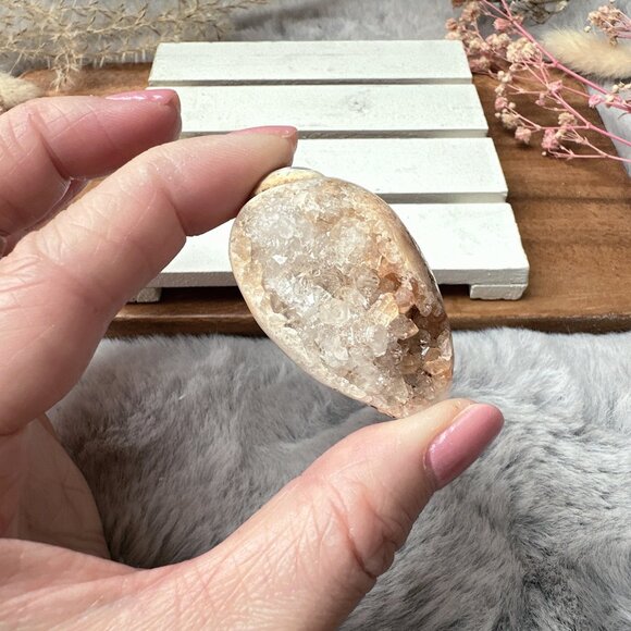 Beautiful Small Fossil Shell - Picture 2 of 6